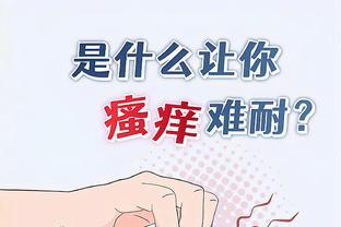 开云综合全站app下载安装